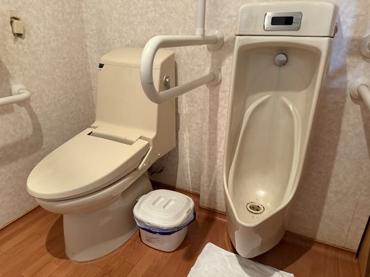 落ち着いた雰囲気のトイレ  