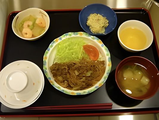 バランスの取れた食事例