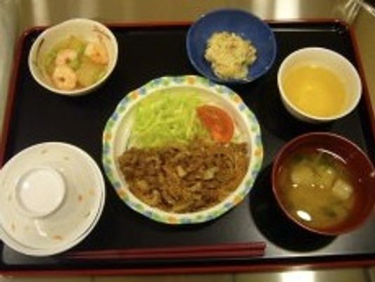 バランスの取れた食事例