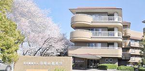 桜と建物の外観