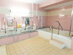 手すり付き清潔な浴室