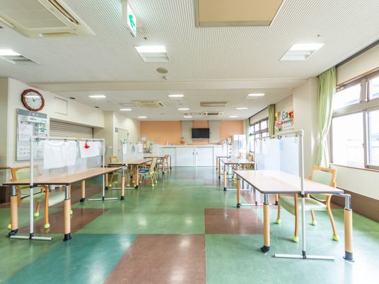 緑が多い明るい食堂