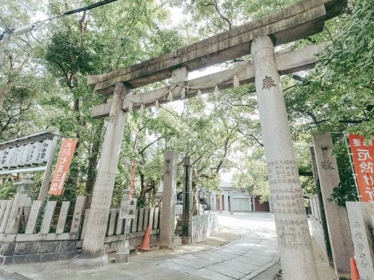 広々とした庭
