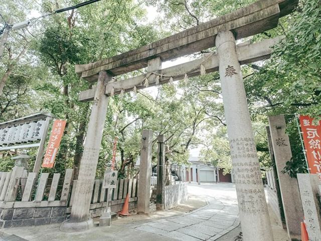 広々とした庭 庭 緑豊かな庭では、心地よい散歩が楽しめます。自然に囲まれたリラックス空間です。