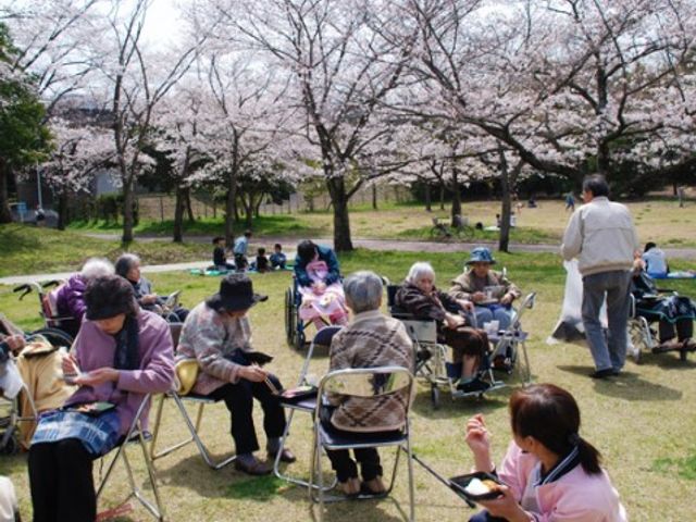 桜の下でくつろぐ人々 食事 桜満開の中庭で、訪れた方々が和やかに交流しています。自然と触れ合いながら、充実した時間を過ごせる環境です。