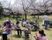 広い芝生の上に折りたたみ椅子を並べ、入居者様がお弁当を召し上がっている。奥には遊歩道があり満開の桜が見える。スタッフが様子を見ている。