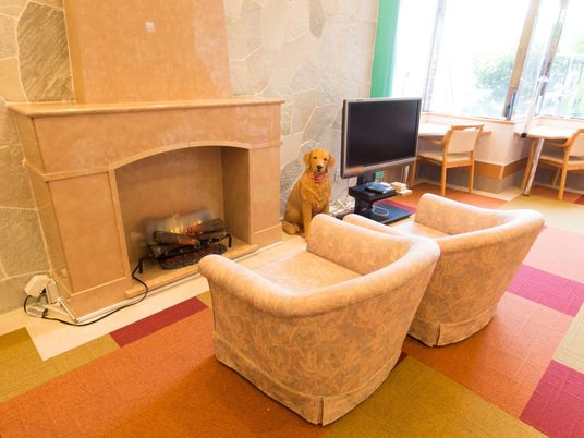 窓辺には椅子が用意されている。暖炉の前にはソファが置かれ、テレビを鑑賞することができる。犬の置物が飾られている。