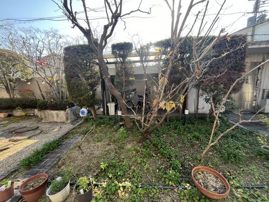 自然あふれる庭の景観