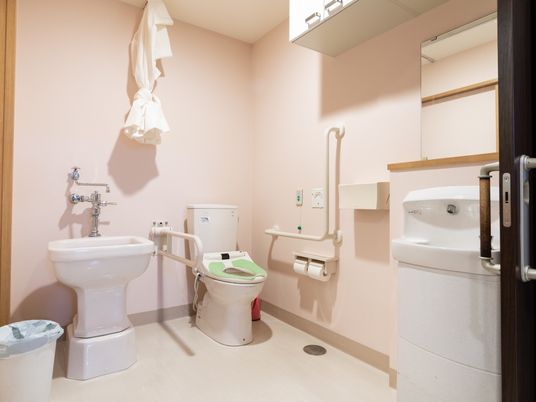 洋式トイレのほかに、汚物流しが２つ設置されている。壁や床、天井は白く清潔感がある。トイレはカーテンで仕切れるようになっている。