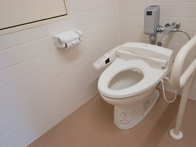 清潔なトイレの一角 トイレ 手すりが付いたきれいなトイレです。安心してご使用いただける工夫がされています。
