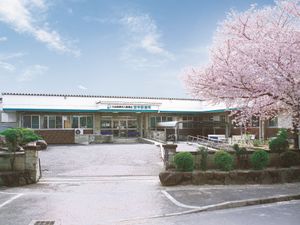 桜が咲く建物の外観  