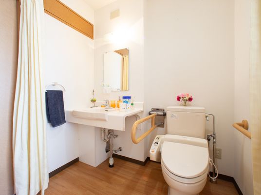 清潔なトイレの一室