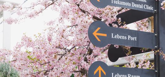  桜と標識の庭
