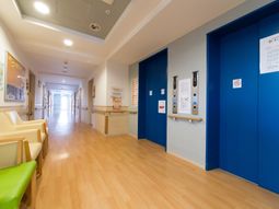 明るい廊下と掲示物