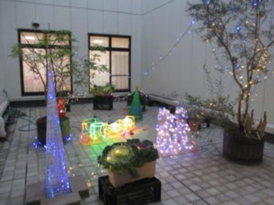 中庭のイルミネーション  