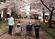 桜並木の歩道