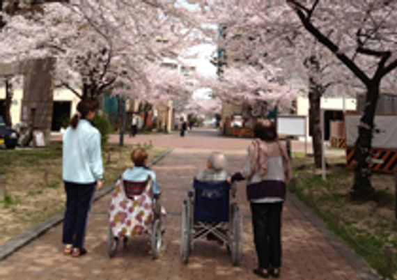 桜並木の歩道