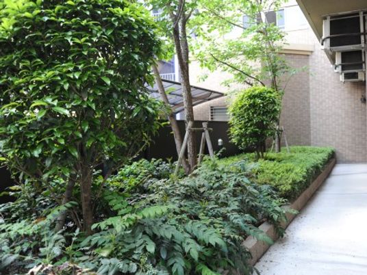 緑豊かな施設の中庭