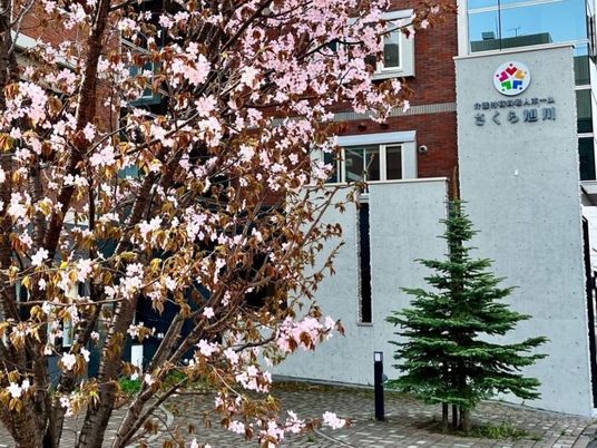 桜と建物の外観  