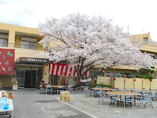 桜のある外観  