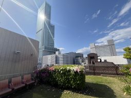 都会の眺めが楽しめる庭
