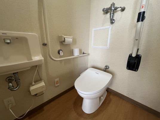 シンプルな設備のトイレ
