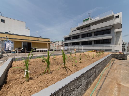新築そうな多階建て建物