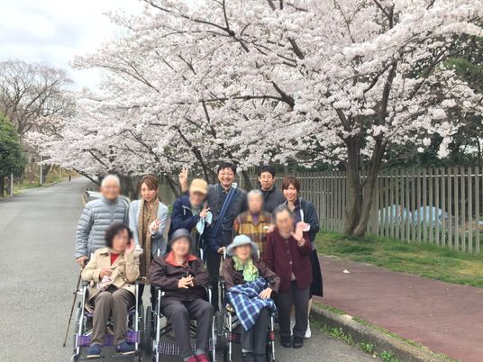 桜並木と人々の様子