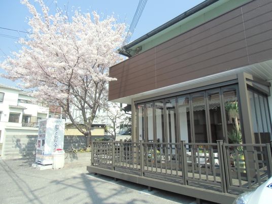 桜が咲く外観