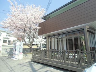 桜が咲く外観