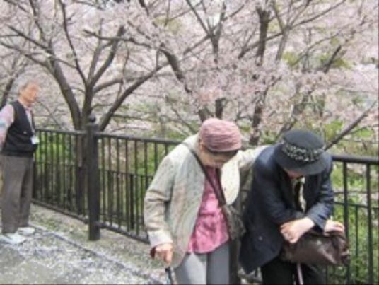 施設の写真 「アクティブライフ豊中」お花見 満開に咲く桜を眺めると、清々しい気持ちになります。
