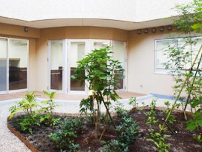 植栽のある中庭