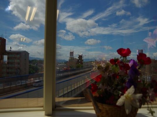 窓辺の花と景色