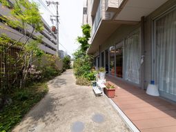 明るい中庭の風景