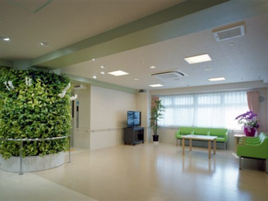 リビングには、テレビと机、緑色のソファを設置している。観葉植物と植込みのスペースがあるので緑に癒される。