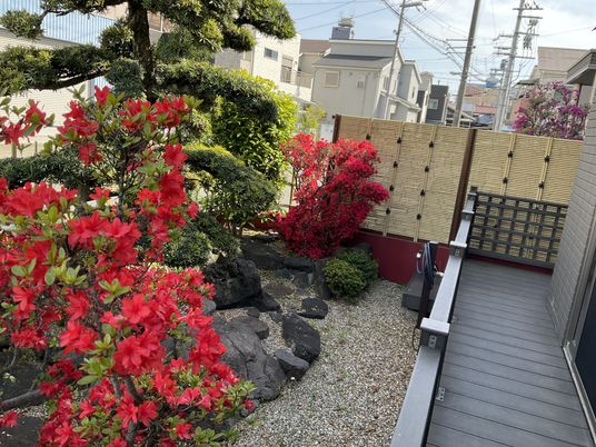 手入れが行き届いた美しい庭