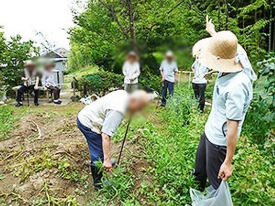 自然が広がる庭