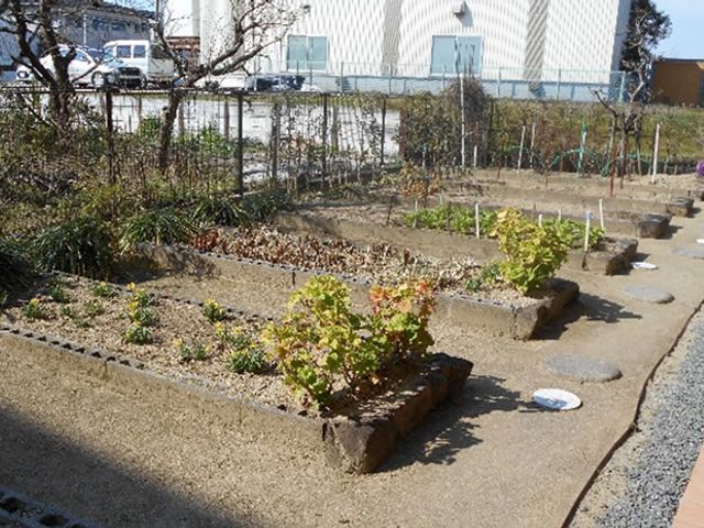 植物が育つ庭 庭 緑豊かな環境で植物の手入れができます。自然を感じながらリフレッシュすることも可能です。