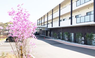 明るい外観の建物