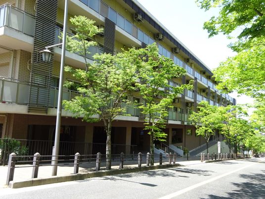 緑豊かな外観