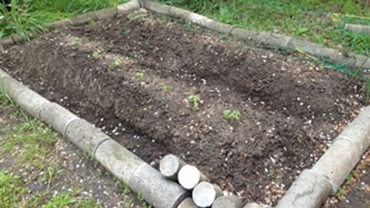 小さな家庭用菜園