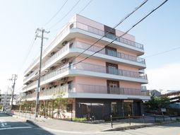 ピンクの建物の外観