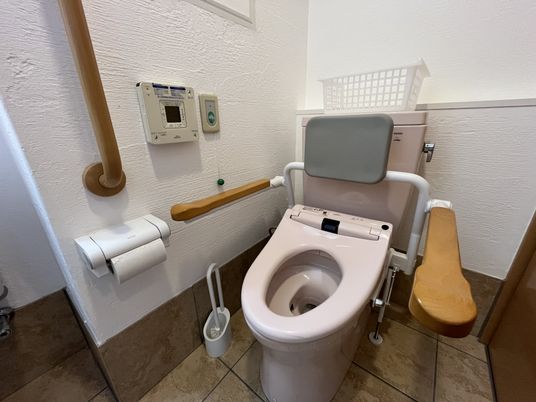 安全設備が整ったトイレ