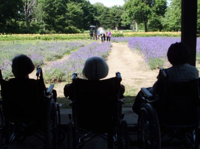 ラベンダー畑を楽しむ風景 庭 広々としたラベンダー畑を車椅子に座りながら楽しめるエリアが魅力です。自然に囲まれた静かな庭です。