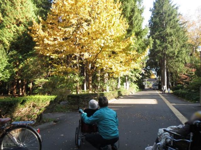 秋の景色と人物の様子 庭 色鮮やかな秋の景色が広がっています。リラックスした雰囲気の中で、利用者同士の交流を楽しめます。