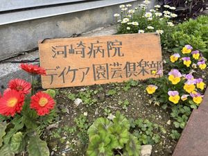 花壇と木札の庭
