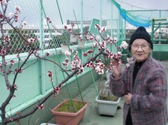 笑顔のおばあさんと桜の木