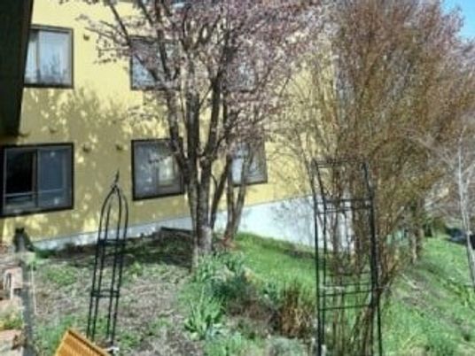 中庭の植栽  