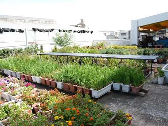 屋上の花壇が並ぶ庭  