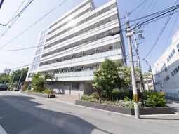白い壁の上品な建物外観